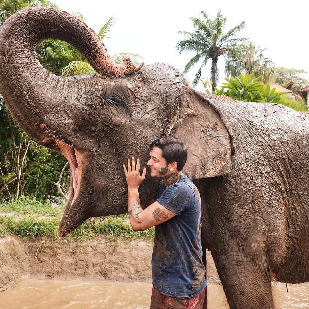 Elephant Mud Fun