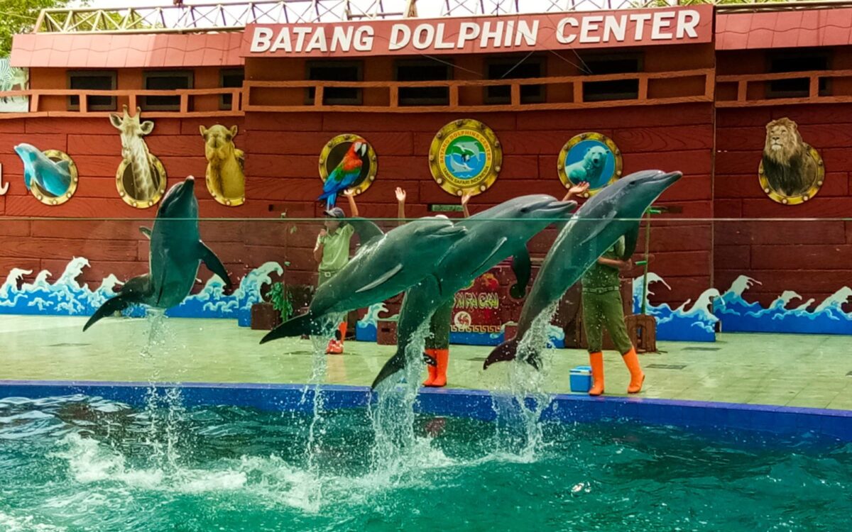 Batang Dolphin Center Lumba-lumba