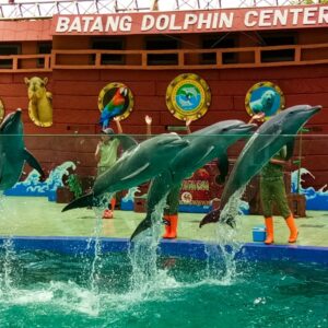 Batang Dolphin Center Lumba-lumba