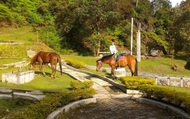 berkeliling naik kuda di kawasan candi