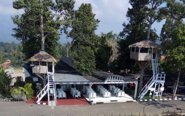 Dua Musola yang dibangun di pohon Durian