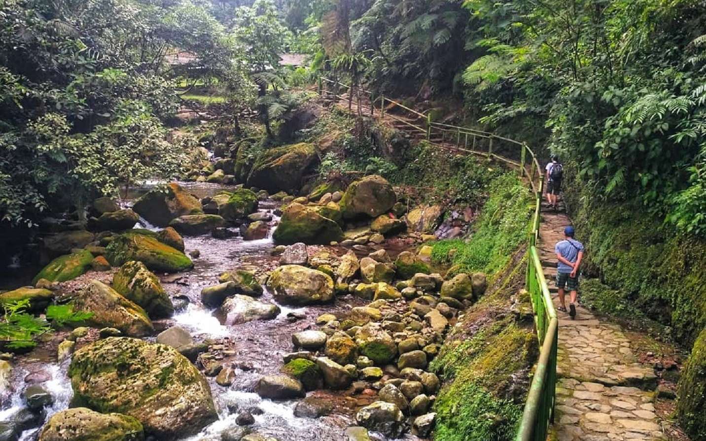 Jalur treking berupa tangga bebatuan dengan pemandangan pepohonan rimbun dan tepian sungai