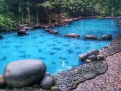 kolam renang dikelilingi taman hijau watu gunung