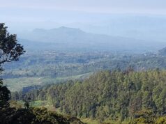 Pemandangan Indah dari Cemoro Kandang