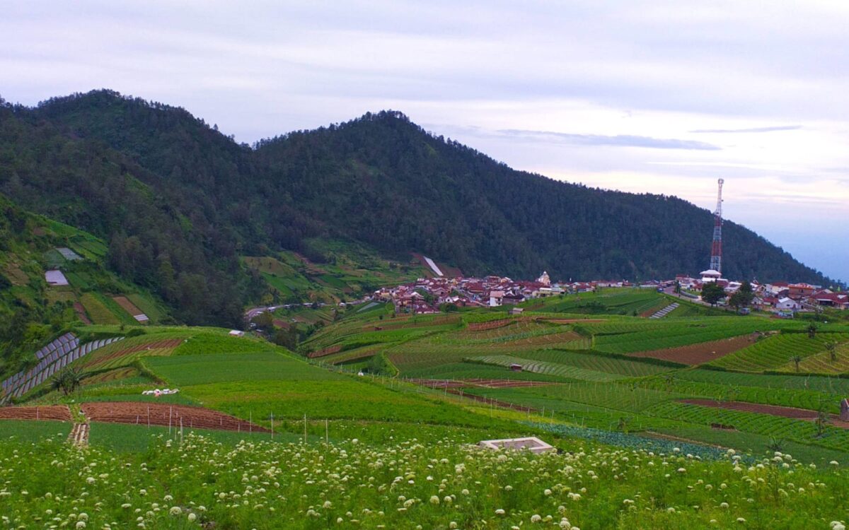 Pemandangan alam The Lawu Park Tawangmangu