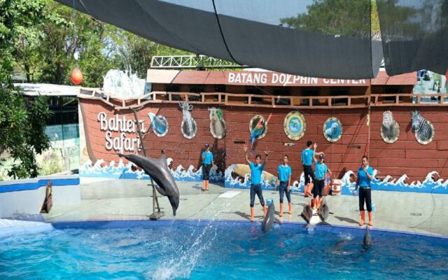Atraksi lumba-lumba di Batang Dolphin Center