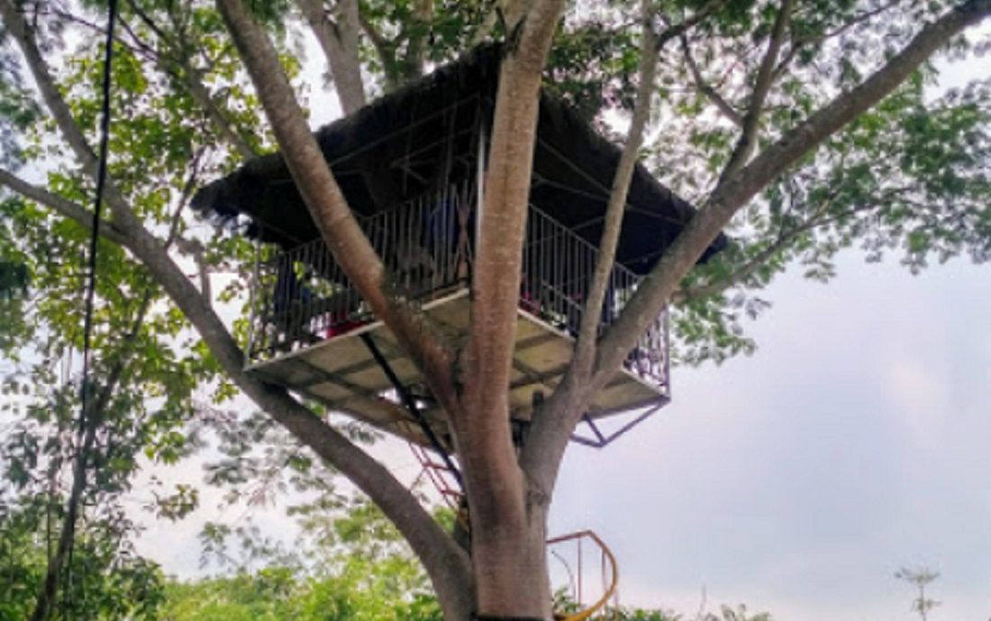 Rumah pohon di taman botani sukorambi.