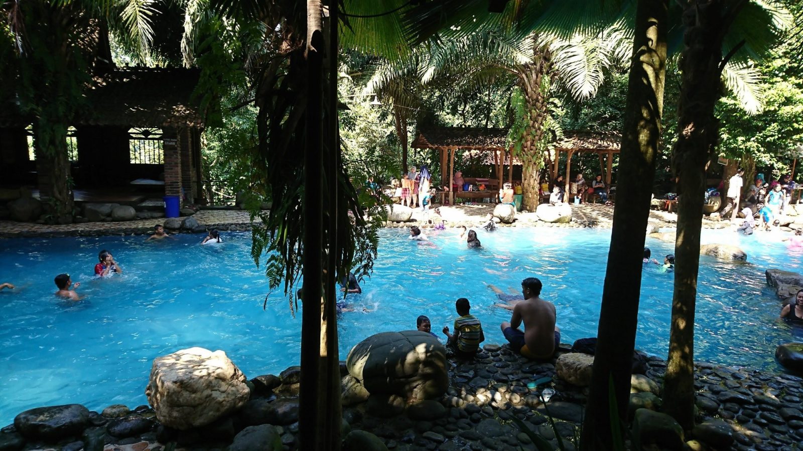 kolam renang dikelilingi taman