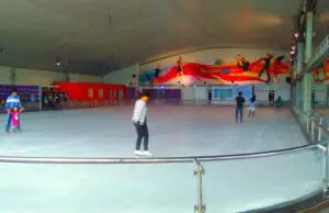 arena ice skating gardenice
