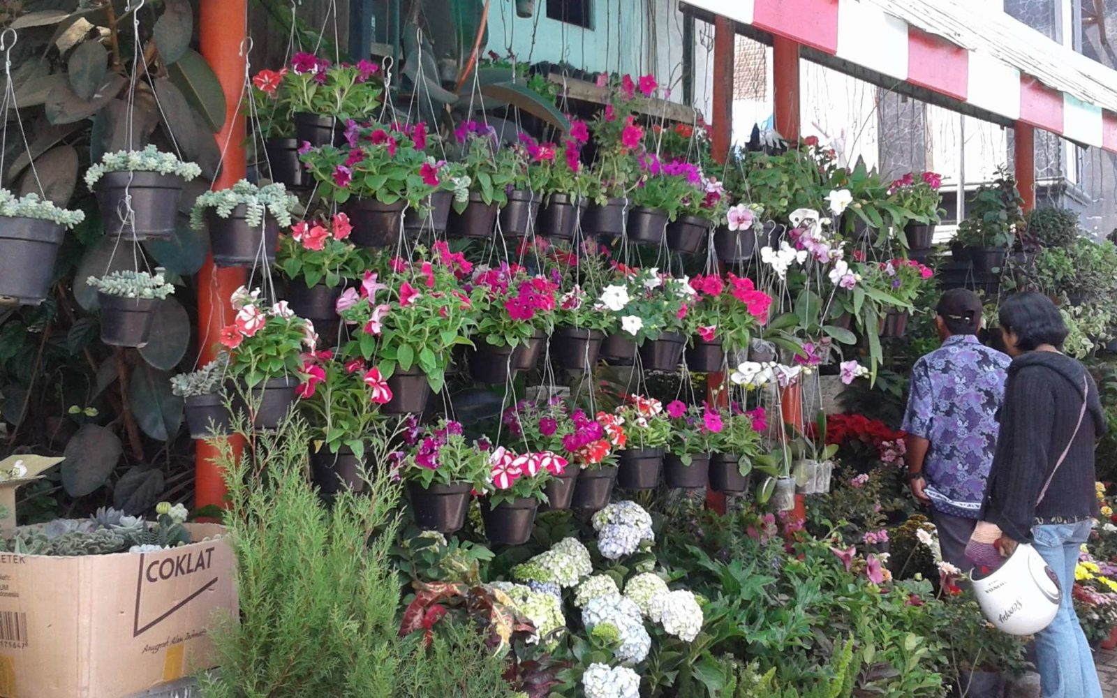jejeran bunga-bunga di salah satu kios pasar wisata bandungan