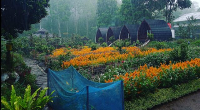 Pemandangan area Agrowisata Green Paradise