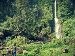 Curahan air Curug Cijalu Subang memiliki ketinggian mencapai 70 meter