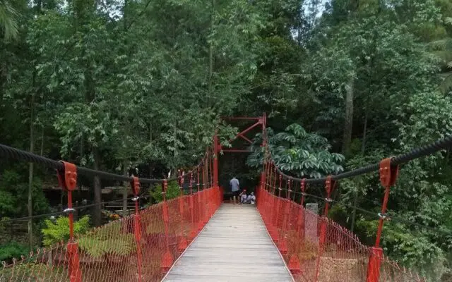 Jembatan menuju area hijau Cimory Forest