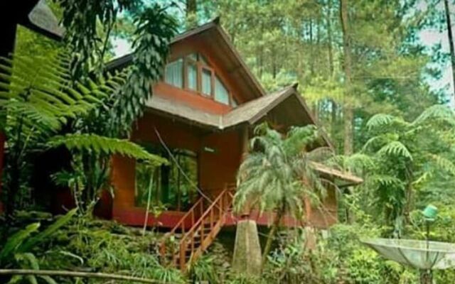 Villa Jungle Lodge di curug cilember