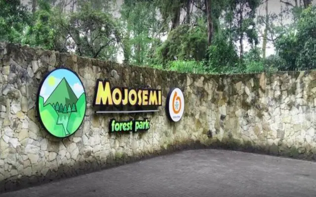 Mojosemi forest park - Jogja Towing Service