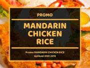 Promo Mandarin Chicken Rice