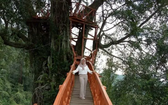 Rumah Pohon yang dibangun di dekat air terjun membuat wisata Curug Ciherang Bogor sangat populer