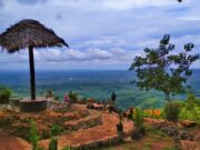 kawasan perbukitan hutan pinus asri