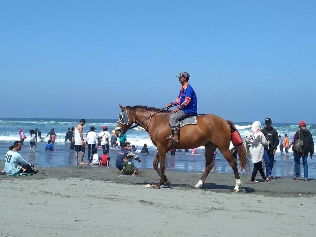 kegiatan menunggang kuda juga bisa dilakukan di pantai ini