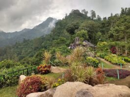 Pemandangan alam pengunungan di watu rumpuk