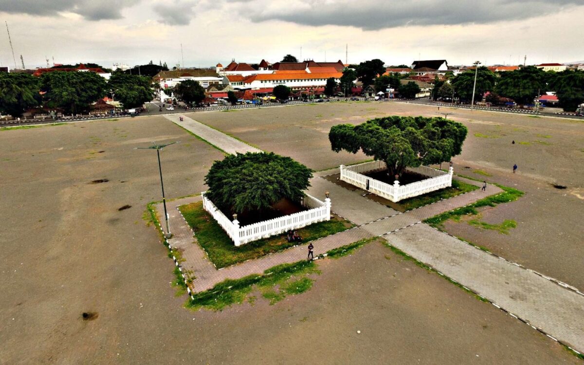 pohon beringin kembar ikonik