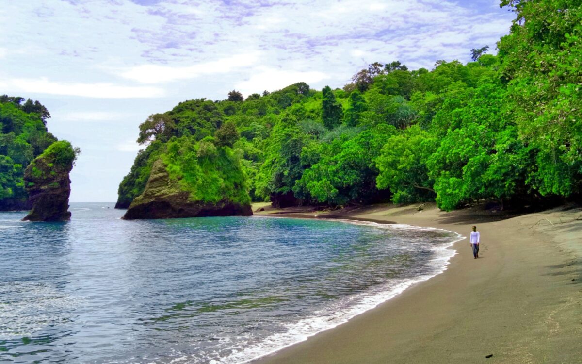 Garis Pantai Licin Malang
