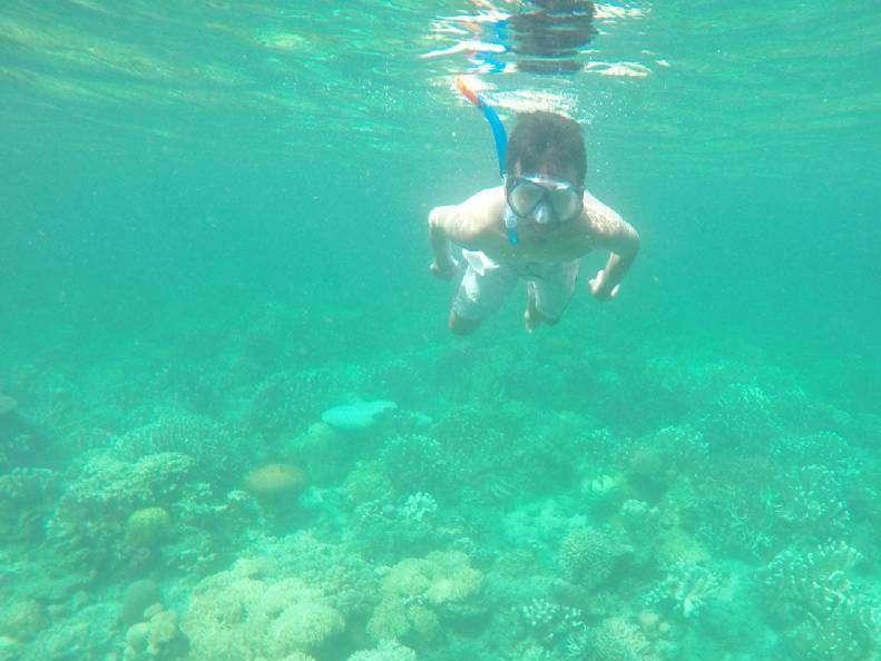 Wisatawan yang sedang snorkeling di pulau noko
