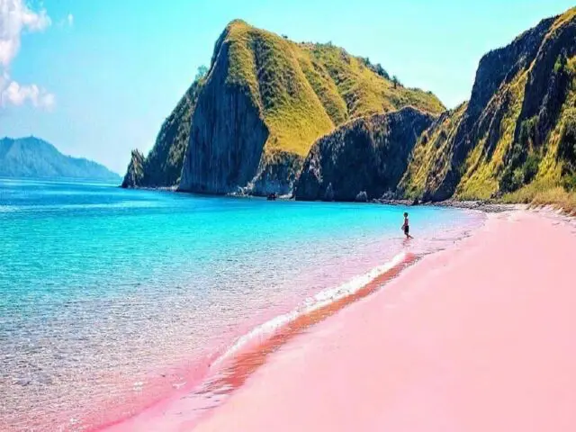 Pink Beach atau pantai pink