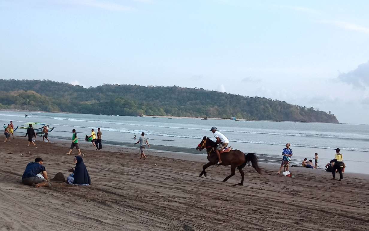 wisatawan dapat menyusuri garis pantai dengan berkuda