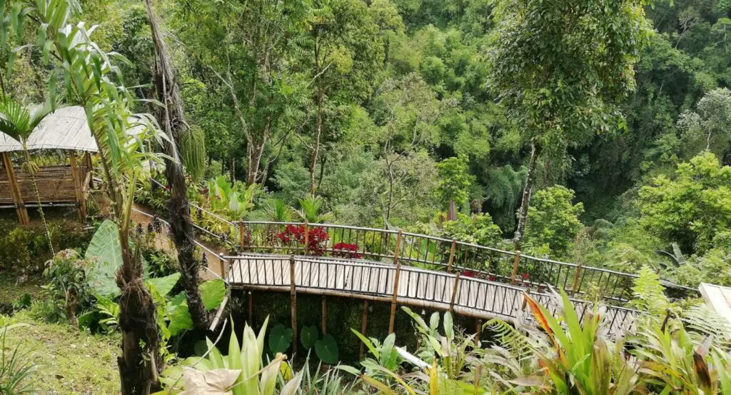 Jembatan Bambu menuju Pondokan
