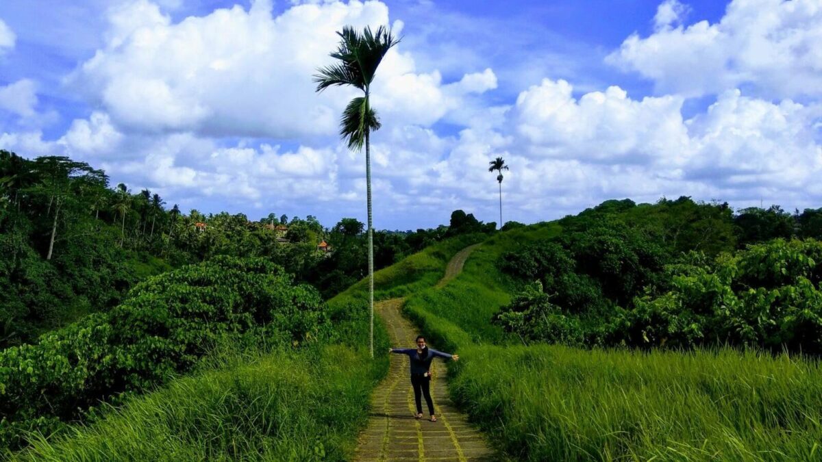 Panorama Indah Bukit Campuhan Ridge Walk