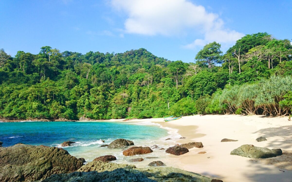 Area Tepi Pantai Teluk Hijau Banyuwangi