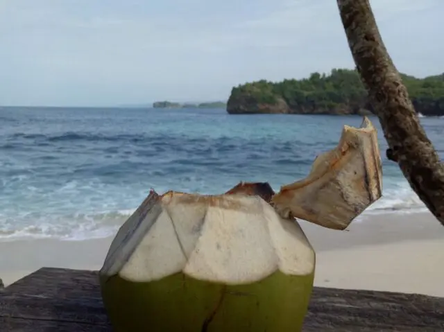 minuman kelapa muda primadona di pantai srau