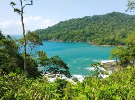 Taman Nasional Meru Betiri