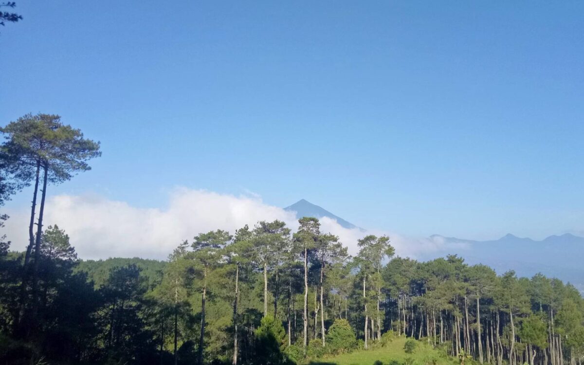 area perbukitan keracak valley