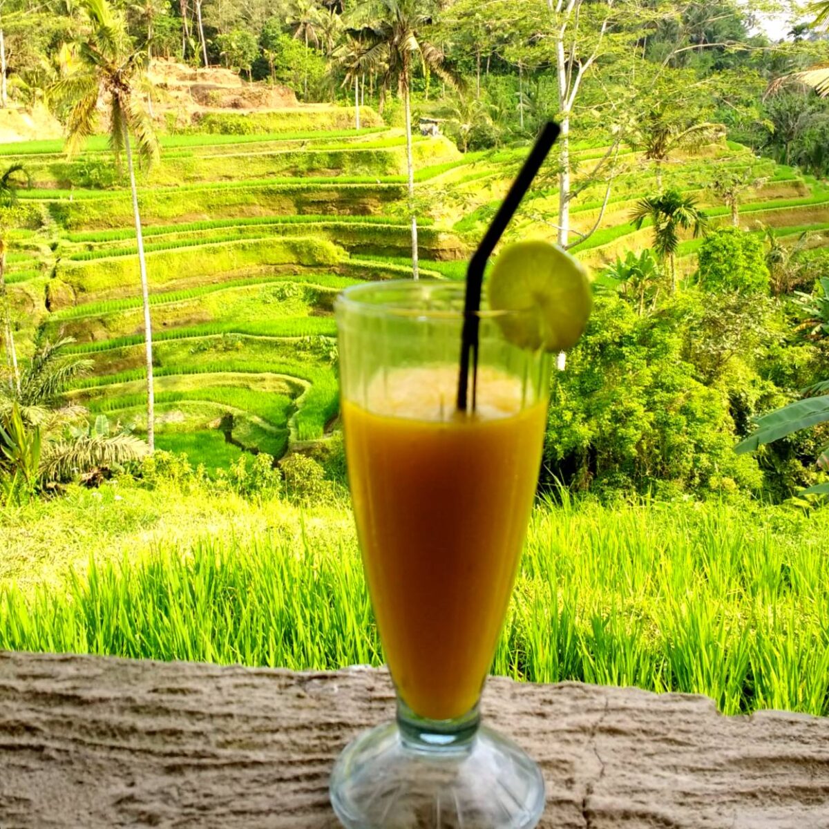kulineran dengan pemandangan sawah di Tegallalang Rice Terrace