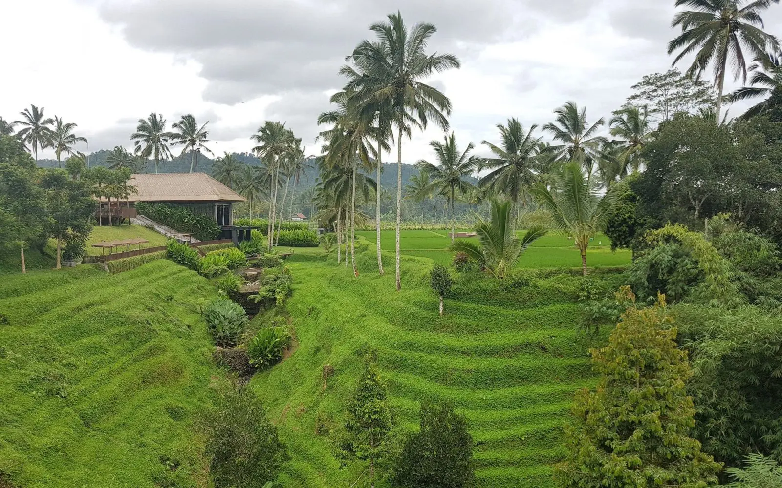 Pemandangan Alam Indah di Secret Garden Village