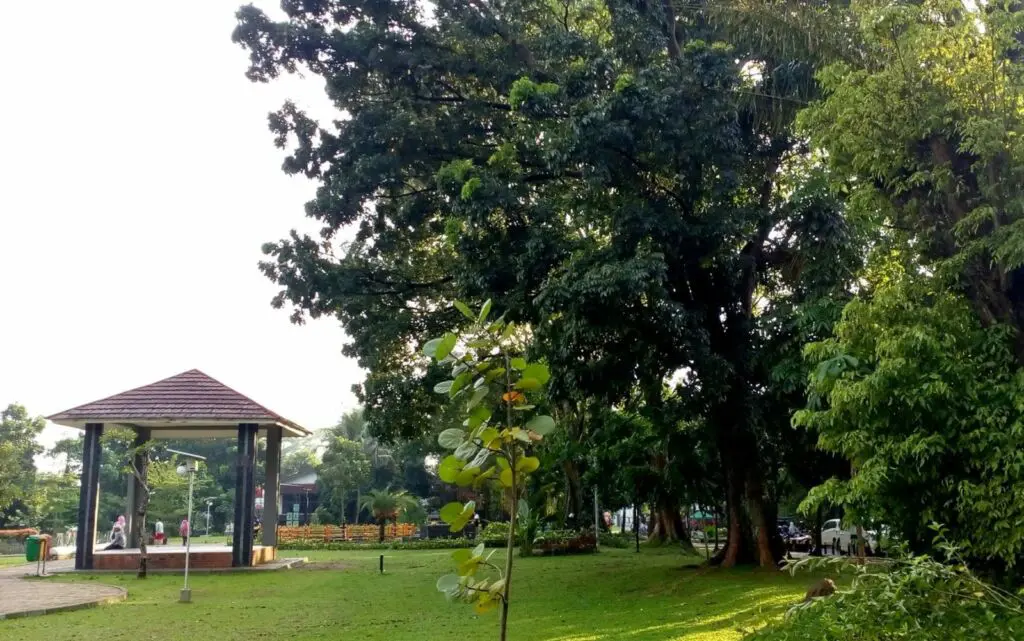 Pepohonan rindang di Taman Heulang