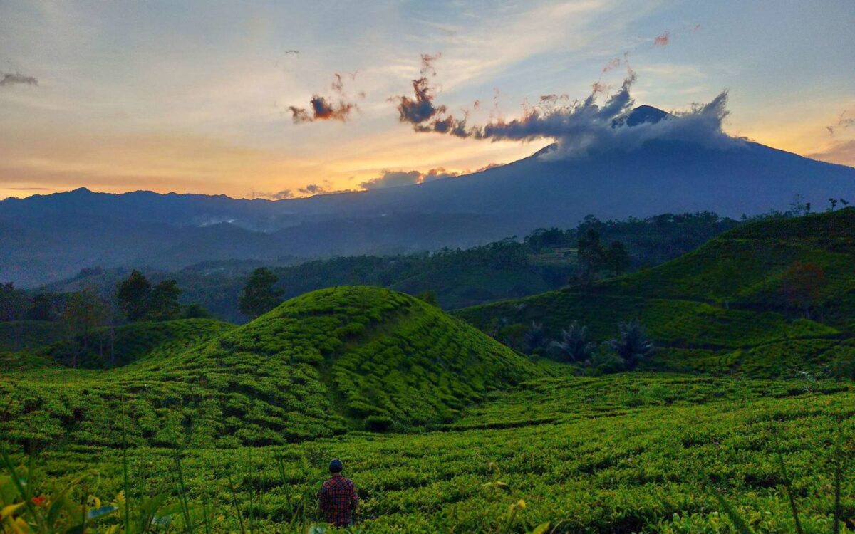 Bukit Kacapi Tasikmalaya