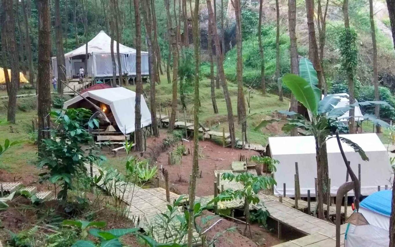 Kebun Teh Nglinggo Wisata Alam Perbukitan Hijau April 2021