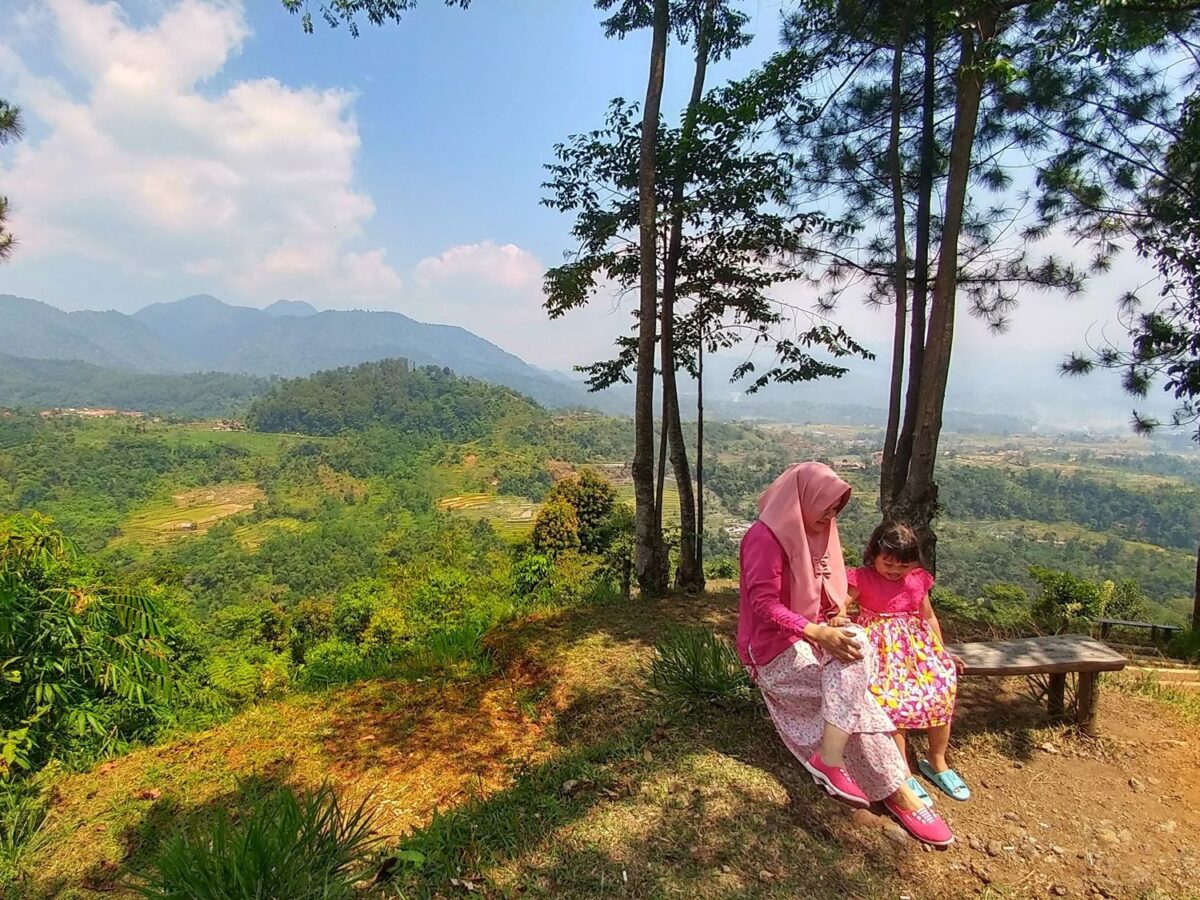 Panorama dari atas