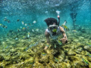 Snorkeling di Pantai Nglambor