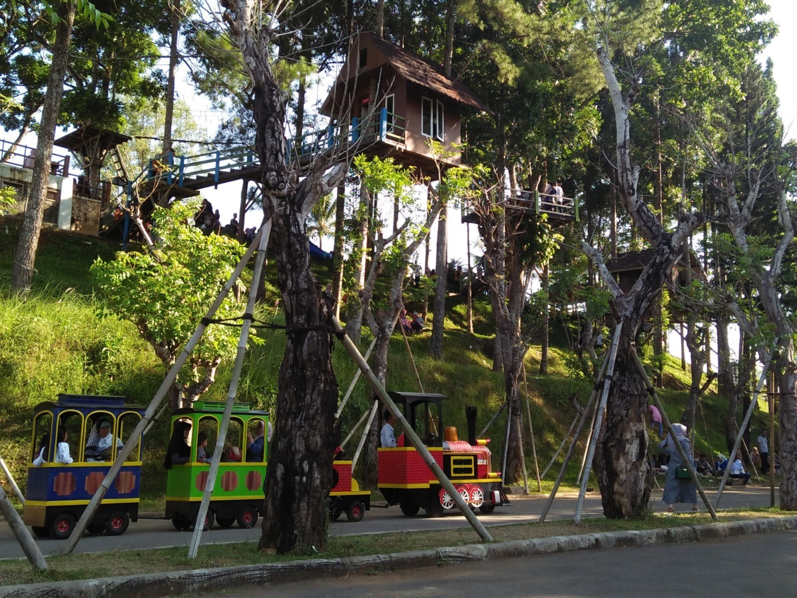 Rumah Pohon dan kereta api