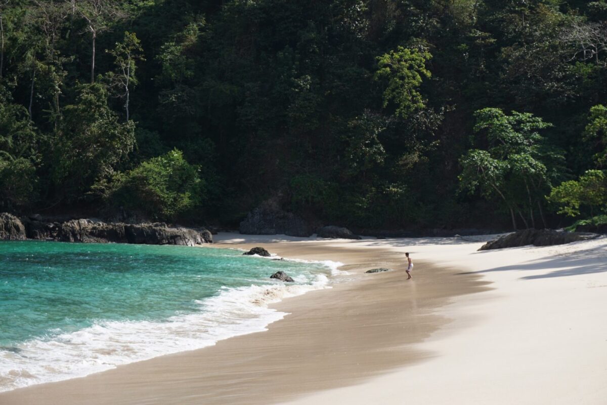 Pemandangn Indah Tepi Pantai Teluk Hijau