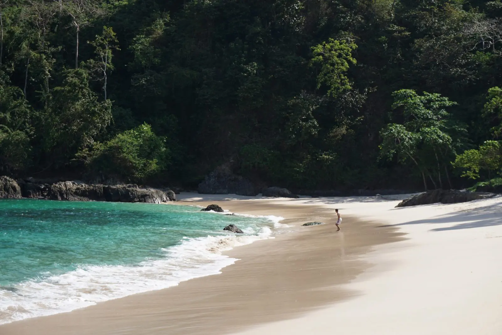 Pemandangn Indah Tepi Pantai Teluk Hijau