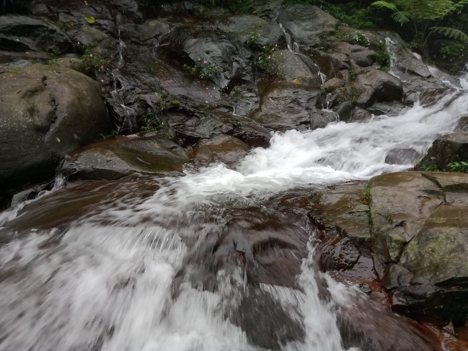 Curug Cipurut Tiket & Aktivitas September 2023