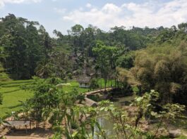 Dikelilingi hutan dan sawah