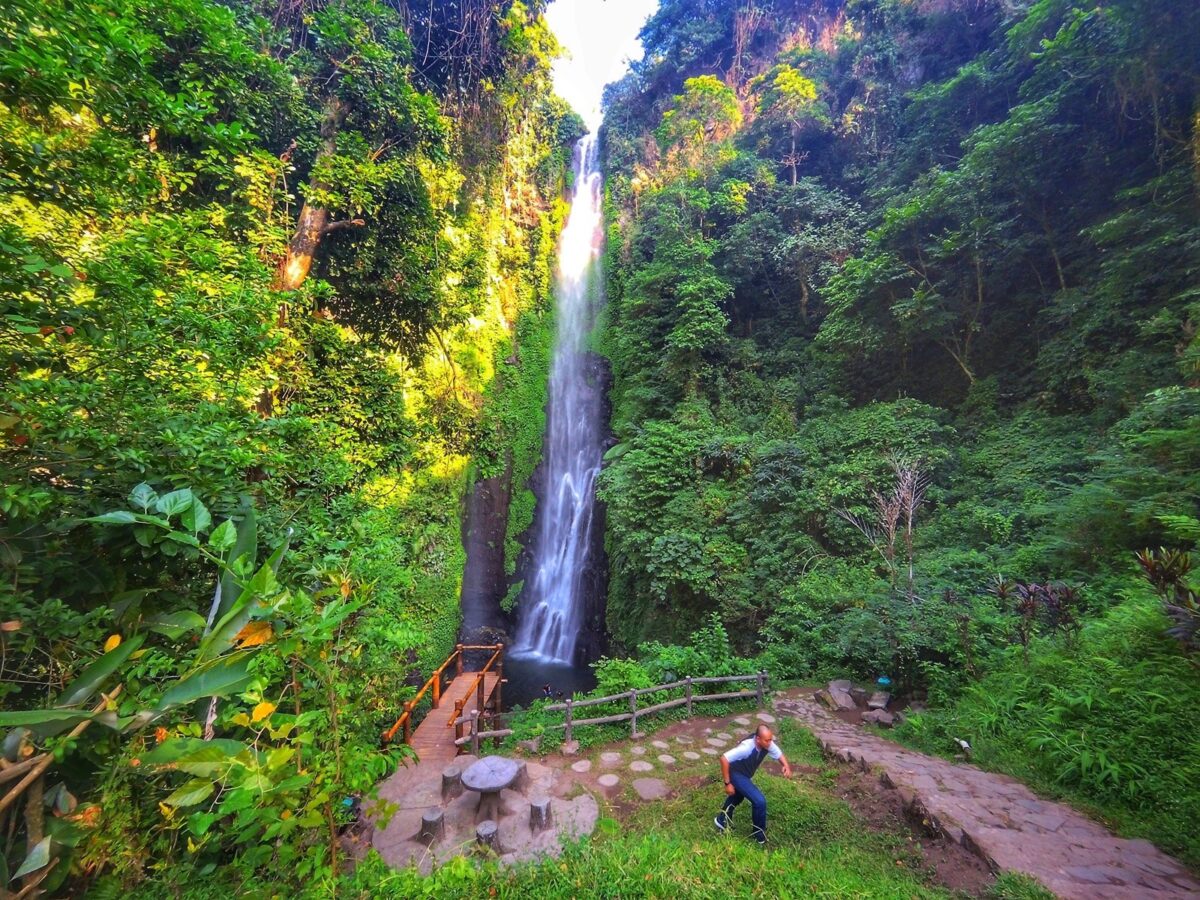 Dilingkupi hijaunya hutan