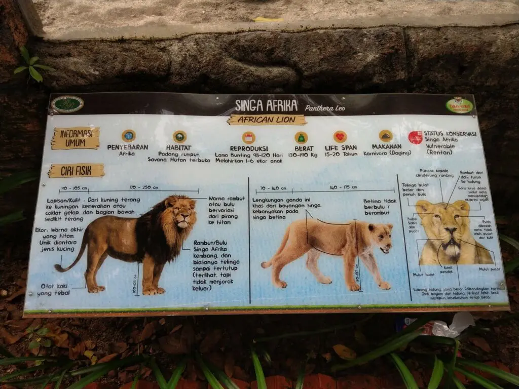 Deskripsi dan informasi tentang hewan-hewan di Taman Hewan Pematang Siantar
