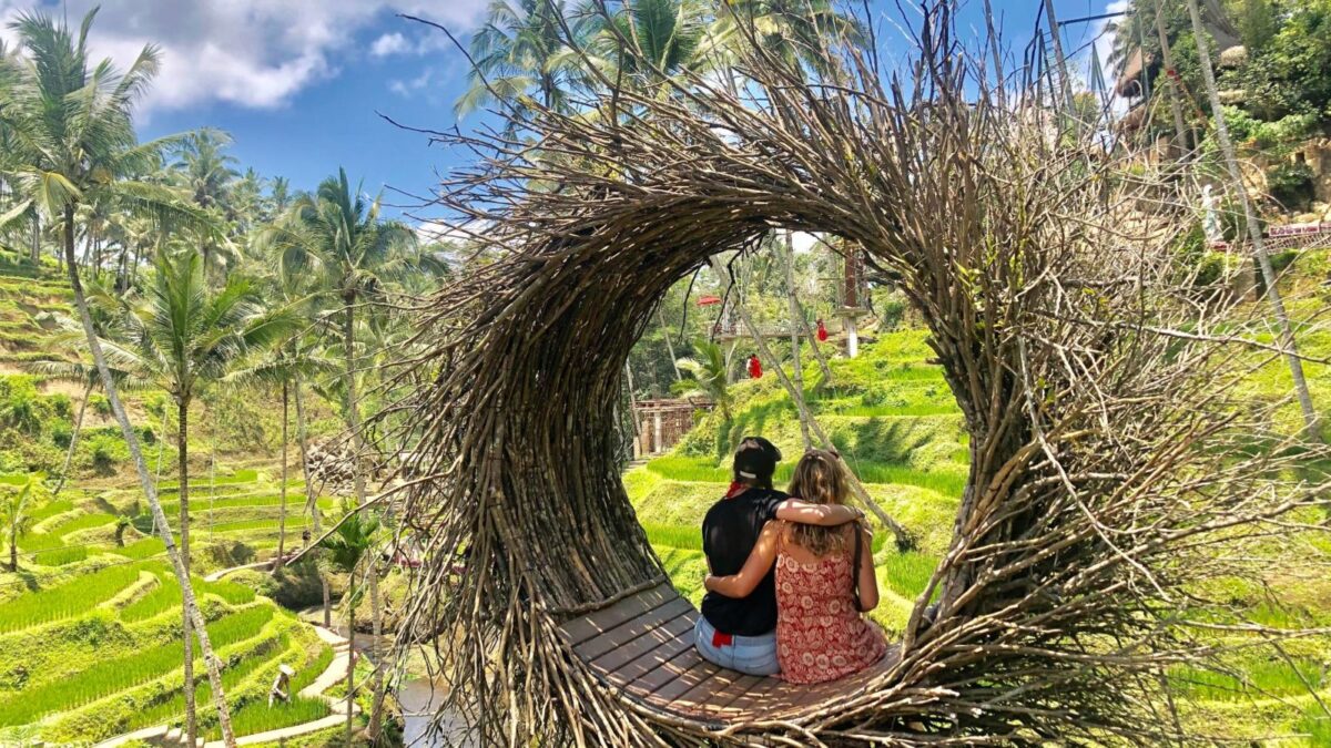 panorama terasering alas harum agro tourism bali